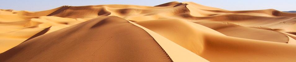 Arabian Sand Dunes